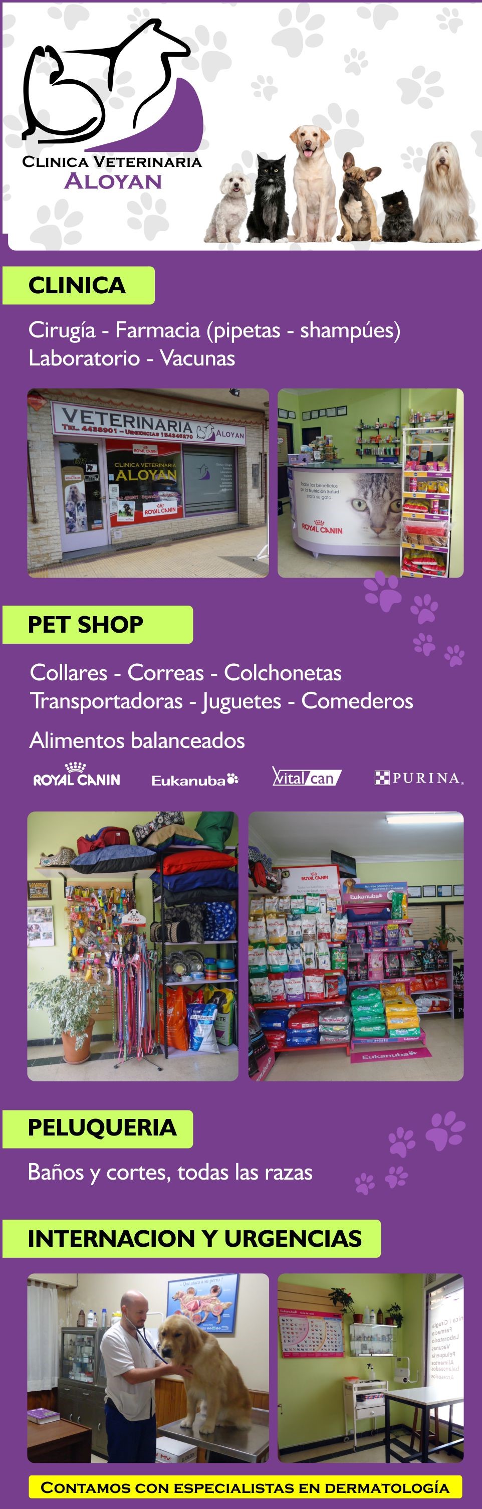 Encontranos en Av. Perón 1014 | Contáctenos Telefónicamente a (0249) 423-4282 - Tandil  | Correo electrónico: veterinaria-aloyan@hotmail.com.ar | 